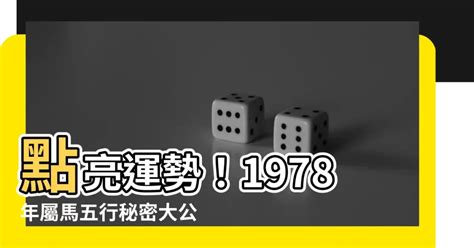 1978馬五行